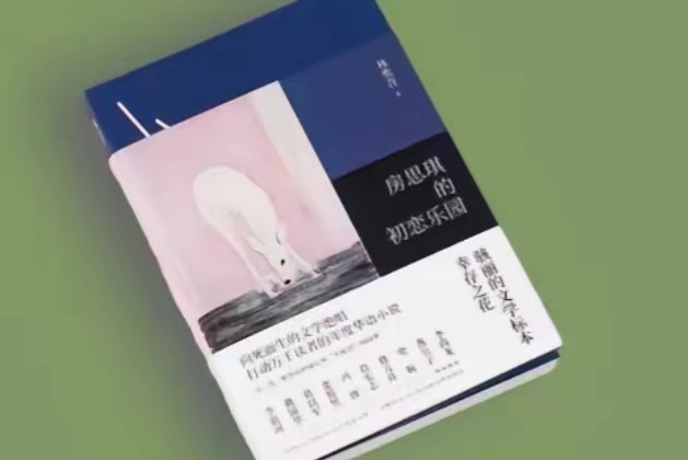 好書分享——《房思琪的初戀樂園》